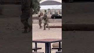 Silly LT!