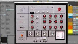 Using the Wavesfactory EchoCat as a SynthDoubler