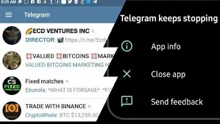 Easily Fix Telegram Keeps Crashing error