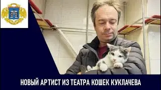 Новый артист из Театра кошек Куклачева