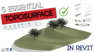 5 Essential Toposurface in Revit | Tip & Trick