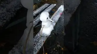 Izoh sizdan kamentga xoxlagan so‘zizni yozib qoldring