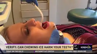 Verify: Can chewing ice harm your teeth?