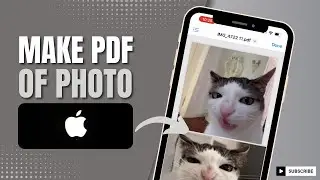 How To Make PDF Of Photo On iPhone (2024)