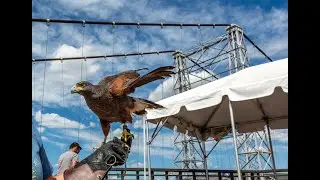 Nature's Educators at the Royal Gorge Bridge & Park