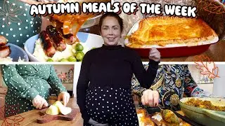 Budget, Autumnal Meals We Ate This Week | October 2024