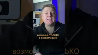 Тонировка запрещена в РФ?