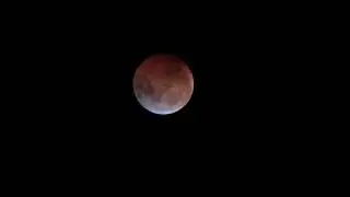 Utah JW Sings & Plays Fields of gold - Sting - Lunar Eclipse In SC Jan 2019