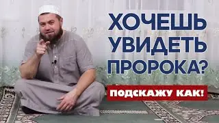 Хочешь увидеть Пророка? Подскажу как!