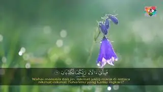 Surah Yasin, Surah Ar Rahman, Surah Al Waqiah , Surah Al Mulk