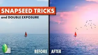 Snapseed Tricks and Double Exposure | Android | iPhone