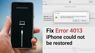 How to Fix iPhone Error 4013 iPhone Could Not Be Restored on iOS 14 iPhone 11/XS/XR/X/8/7