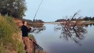 Закинул ночью на ракушку, утром проснулся весь берег. Рыбалка на реке Ахтуба 2 часть.