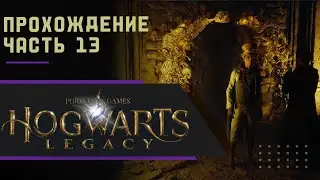 Hogwarts: Legacy - Хогвартс: Наследие.: Прохождение. Часть 13. Без комментариев