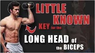 Use This LITTLE-KNOWN KEY to Work the LONG HEAD of the BICEPS