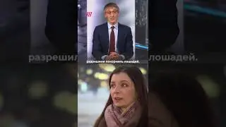 Путин и подставная массовка #shorts