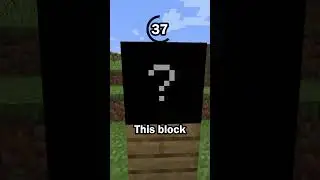 Guess the Minecraft block in 60 seconds 22
