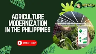 Agriculture Modernization in the Philippines