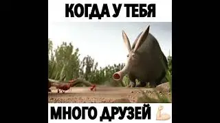 Прикол про Дружбу / Позитивное Видео  / Для поднятия настроения!.