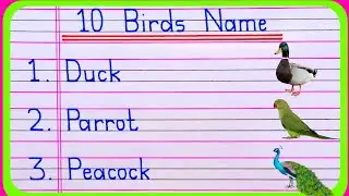 Birds name | 10 Birds name | Birds name in english | pakshiyon ke naam | Bird name | name of birds