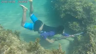 SpearFishing During my Vacation