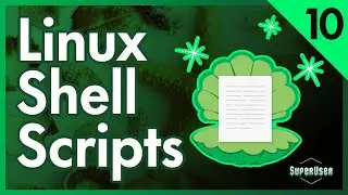 Shell Scripts | Linux for Programmers #10