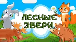 Загадки про животных леса для детей. Лесные животные. Учим зверей