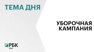 В РБ в 2023 г. объем урожая масличных культур достигнет около 500 тыс. тонн