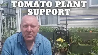 Tomato Plant Support