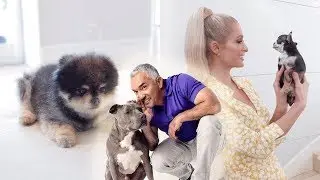 Hilton Pets meets Cesar Millan The Dog Whisperer | Paris Hilton