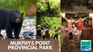 Murphys Point Provincial Park | EVERYTHING You NEED To Know