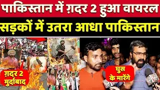 Gadar 2 movie Leak in Pakistan | Gadar 2 Pakistan Public Reaction | Sunny Deol | Amisha Patel
