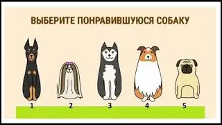 Этот тест поможет вам разобраться с целью в жизни