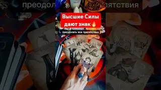 Стой❗️Это видео ДЛЯ ТЕБЯ❤️ Высшие Силы о вас и о ваших отношениях❤️‍🔥 расклад таро #shorts