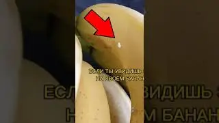 Если Ты Увидишь Это На Своём Банане, Не Ешь Его! 🚨 