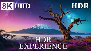 EXPLORING PLANET EARTH 8K HDR – The Ultimate HDR Experience