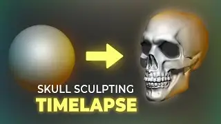 Skull Sculpting Timelapse | Blender 4.x | Digital Sculpting Tutorial