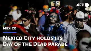 Mexico City holds its Day of the Dead parade | AFP