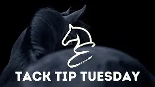 Tack Tip Tuesday Rubber Bits