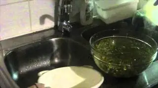 Проростки  мунгa (маша)
