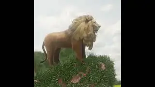 Making The Lion 3D Scene in Blender 