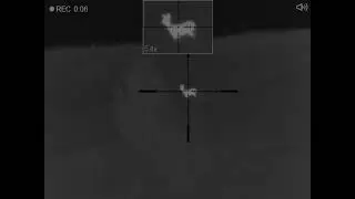 Охота на косулю с мелкашкой / Roe deer hunting from 22lr