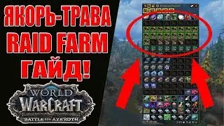 WoW BFA: Якорь-трава Рейд фарм золота