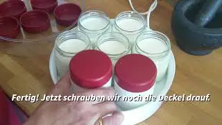 Joghurt selber machen mit Zauberkürbis