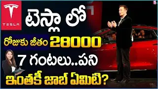 Elon Musk Job Offer : 28,000 Salary For 7 Hours Work in a Suit to Train Robot | TESLA JOBS in India