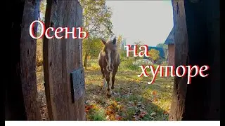 Влог // Деревенские будни