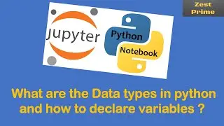 3.Python Data Types and Variable Declaration Explained | Python Programming Tutorial
