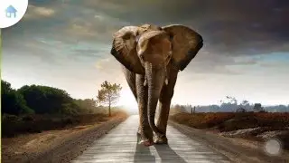 Учим слова - животные. Learning words - animals.
