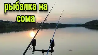 НАКОНЕЦ-ТО Я ЕГО ПОЙМАЛ. Ночная рыбалка на сома