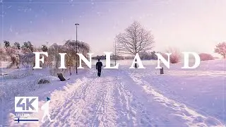 Ethereal Winter Snow Walk in the Morning, Finland - Slow TV 4K